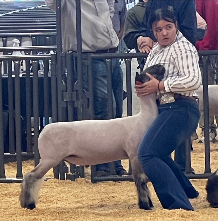 Jacy showing her goat 