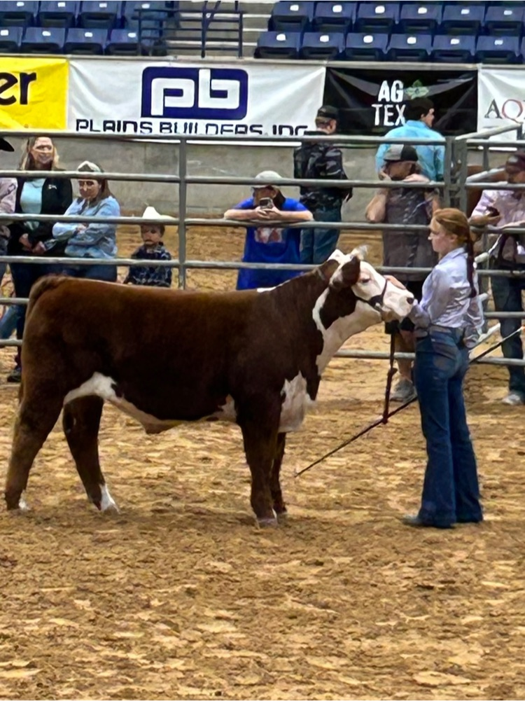 Bailey Page showing at Tri-State Fair