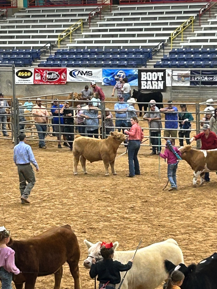 Briley Waters showing at Tri-State Fair